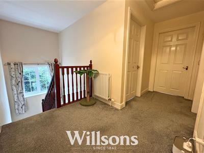 Picture 15